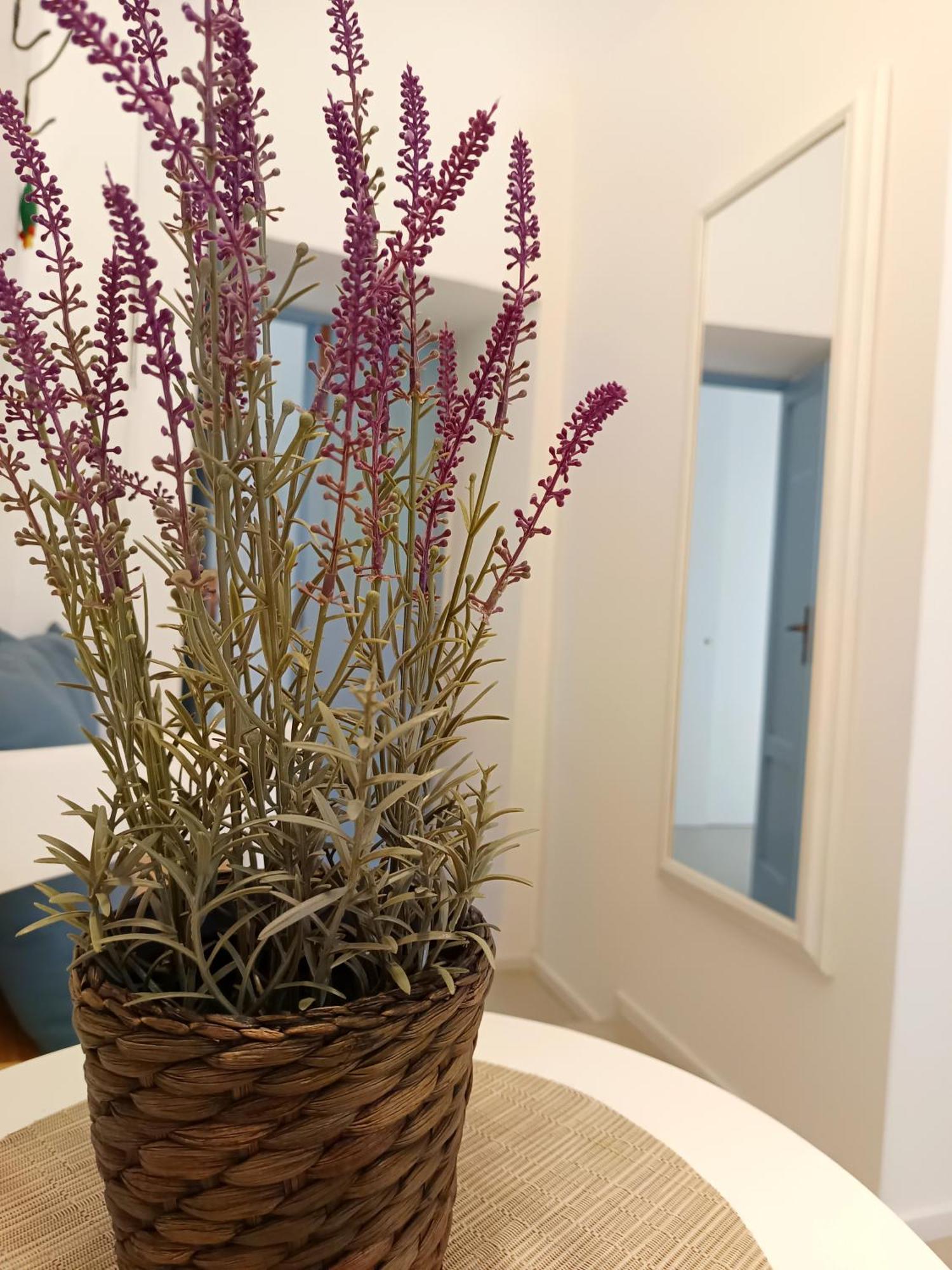 קסטלנטה B&B Sedilequattro מראה חיצוני תמונה